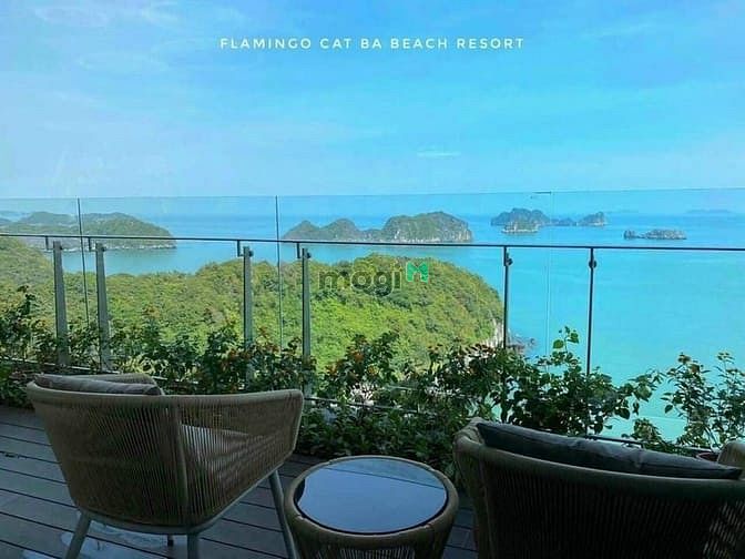 Hình ảnh 𝐜𝐡𝐢̉ 𝐭𝐮̛̀ 700𝐭𝐫 hữu ngay 𝐒𝐞𝐜𝐨𝐧𝐝𝐡𝐨𝐦𝐞 tại 𝐅𝐥𝐚mingo