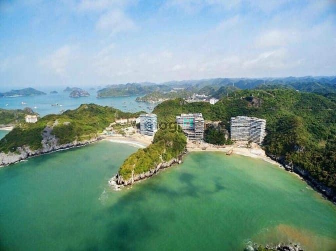Hình ảnh 𝐜𝐡𝐢̉ 𝐭𝐮̛̀ 700𝐭𝐫 hữu ngay 𝐒𝐞𝐜𝐨𝐧𝐝𝐡𝐨𝐦𝐞 tại 𝐅𝐥𝐚mingo