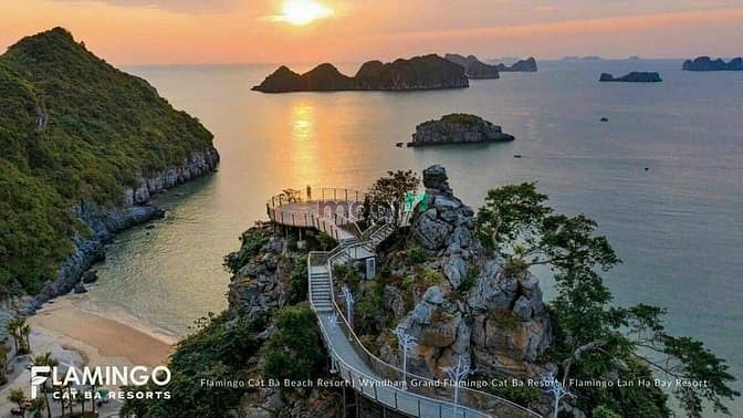 Hình ảnh 𝐜𝐡𝐢̉ 𝐭𝐮̛̀ 700𝐭𝐫 hữu ngay 𝐒𝐞𝐜𝐨𝐧𝐝𝐡𝐨𝐦𝐞 tại 𝐅𝐥𝐚mingo