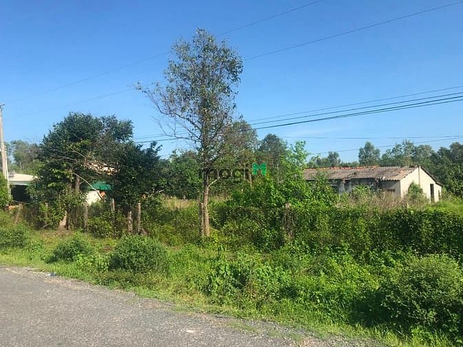 Hình ảnh Bán đất thổ cư đường Cù Chính Lan, thị xã LaGi giá tốt nhất