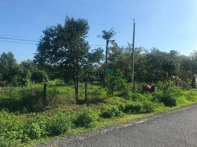 Hình ảnh Bán đất thổ cư đường Cù Chính Lan, thị xã LaGi giá tốt nhất