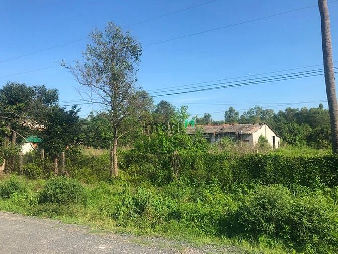Hình ảnh Bán đất thổ cư đường Cù Chính Lan, thị xã LaGi giá tốt nhất