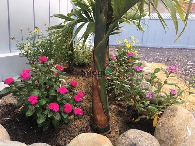 Hình ảnh Bán đất biệt thự phường Tam Hiệp Biên Hoà 10x22m
