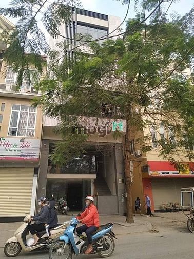 Hình ảnh Cho thuê nhà mặt phố Hoàng Sâm, dt 60mx3t