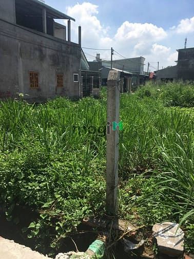 Hình ảnh Bán đất gần chợ Quang Thắng Trảng Dài 10,5x49 nở hậu 13m