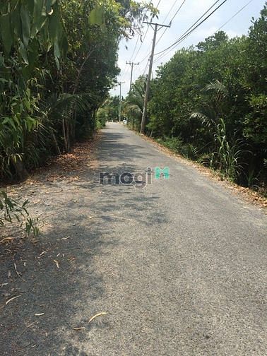 Hình ảnh BÁN ĐẤT MẶT TIỀN 4.2 triệu/m2 Xã Bình Khánh