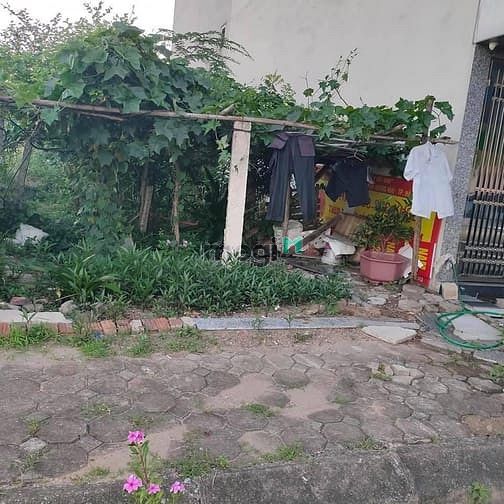 Hình ảnh Phân lô giá cực hiếm 50m Mậu Lương Hà Đông chỉ 3.75 tỷ