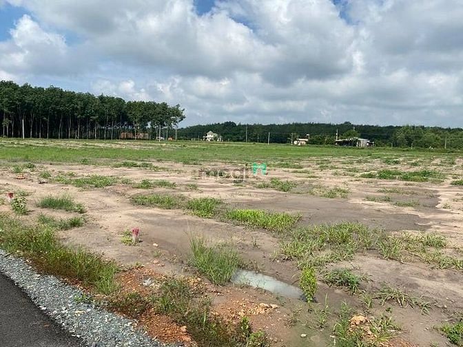 Hình ảnh Đất nền giá rẻ - Tân Quan, Hớn Quản