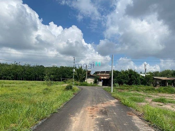 Hình ảnh Đất nền giá rẻ - Tân Quan, Hớn Quản