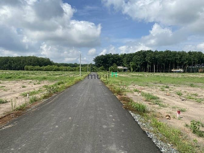Hình ảnh Đất nền giá rẻ - Tân Quan, Hớn Quản