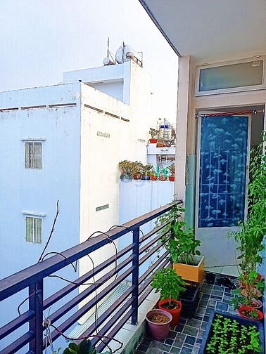 Hình ảnh Gò Vấp 2tr2 bao phí 3 tháng đầu. Cửa sổ