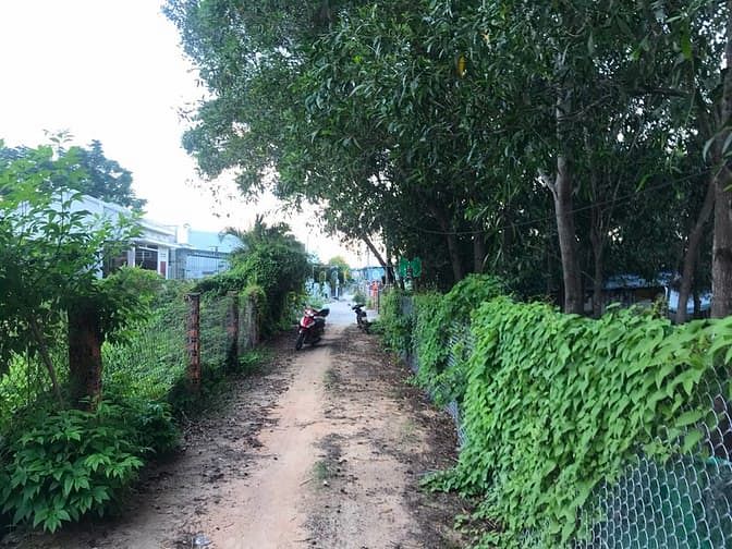Hình ảnh Bán đất hẻm Lý Thường Kiệt, thị xã LaGi chưa qua Trang MB66.COM Chính Thức - MB 66 Uy Tín