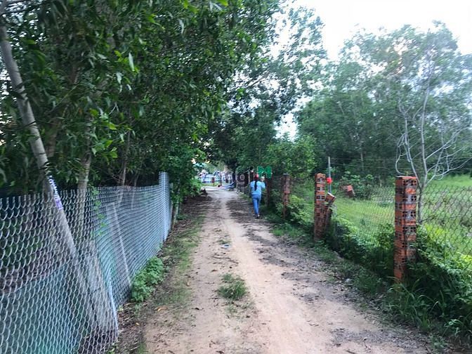 Hình ảnh Bán đất hẻm Lý Thường Kiệt, thị xã LaGi chưa qua Trang MB66.COM Chính Thức - MB 66 Uy Tín