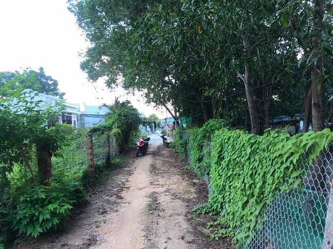 Hình ảnh Bán đất hẻm Lý Thường Kiệt, thị xã LaGi chưa qua Trang MB66.COM Chính Thức - MB 66 Uy Tín