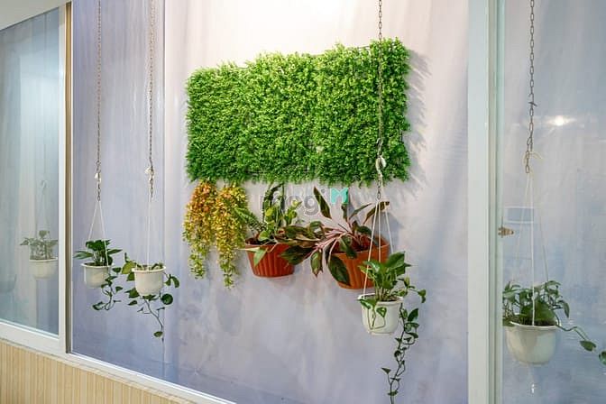 Hình ảnh CHO THUÊ Studio Cực Đẹp - Sang - Giá hợp lí Tại LÊ THỊ RIÊNG, Quận 1