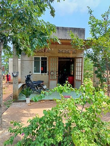 Hình ảnh Bán Đất : Lộc Hưng, Lộc Ninh, Bình Phước. DT: 252m2,TC 100m2,SHR
