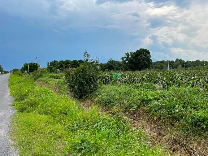 Hình ảnh Bán 1.9 ha đất Đinh Công Tráng, thị xã LaGi chưa qua Trang MB66.COM Chính Thức - MB 66 Uy Tín