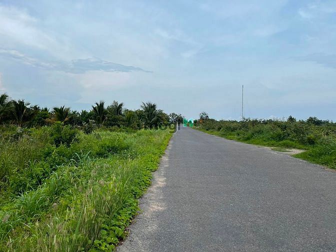 Hình ảnh Bán 1.9 ha đất Đinh Công Tráng, thị xã LaGi chưa qua Trang MB66.COM Chính Thức - MB 66 Uy Tín