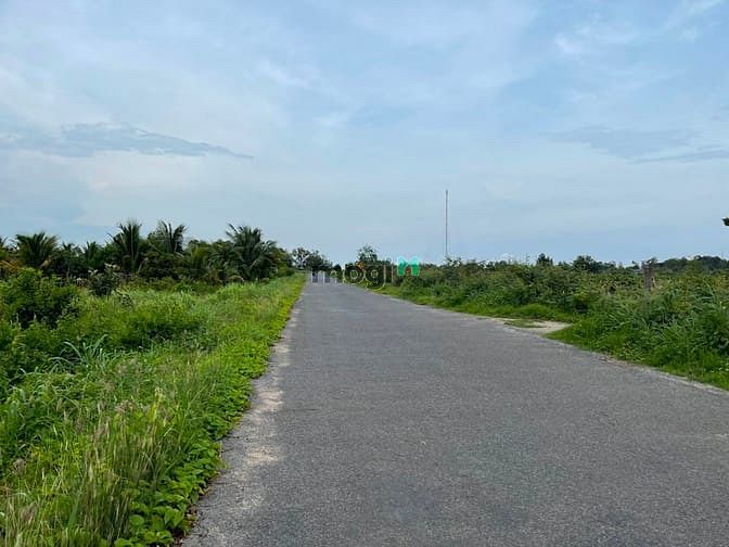 Hình ảnh Bán 1.9 ha đất Đinh Công Tráng, thị xã LaGi chưa qua Trang MB66.COM Chính Thức - MB 66 Uy Tín