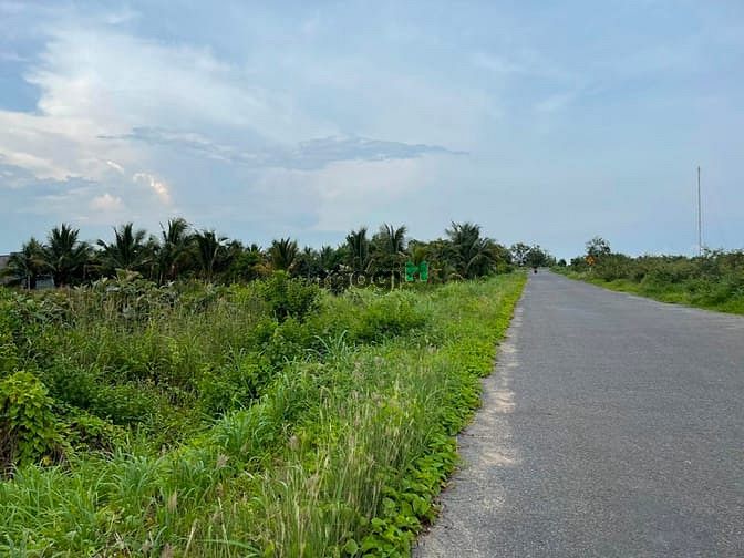 Hình ảnh Bán 1.9 ha đất Đinh Công Tráng, thị xã LaGi chưa qua Trang MB66.COM Chính Thức - MB 66 Uy Tín