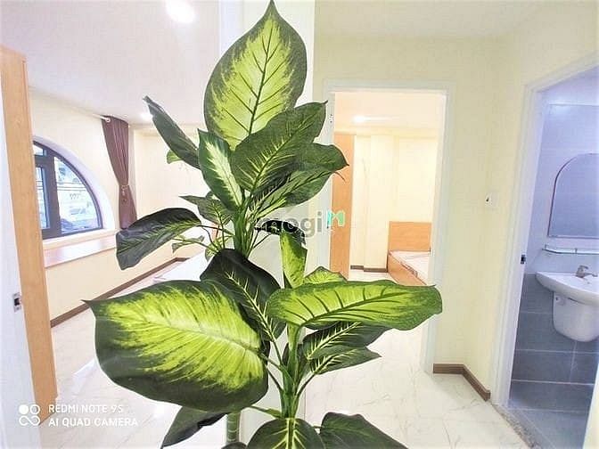 Hình ảnh Phòng 2PN đầy đủ tiện nghi, Full nội thất có cửa sổ thoáng, Tân Bình