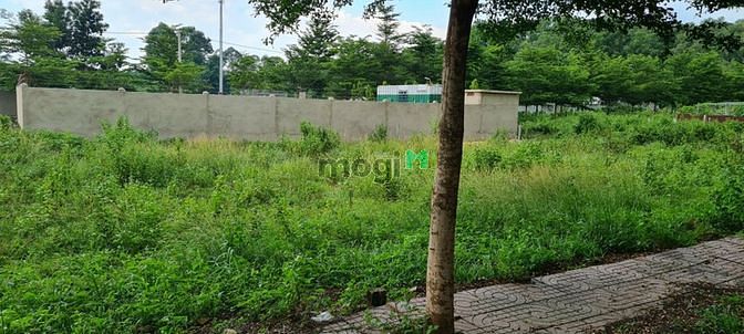 Hình ảnh Bán 650m2 đất thổ cư, sổ riêng, tp. Biên Hòa - Đồng Nai.