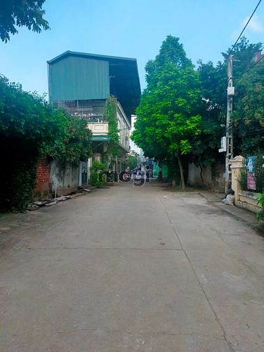 Hình ảnh Bán 115,5m2 đất thổ cư Tam Thuấn gần dự án Shunshine Phúc Thọ