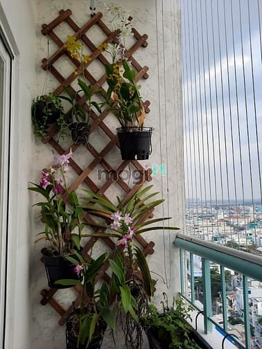 Hình ảnh 📢  BÁn Trang Chủ MB66.COM / Đăng Ký Tặng 66K 80m2 -2.5 ty còn bớt, view đep  , căn góc