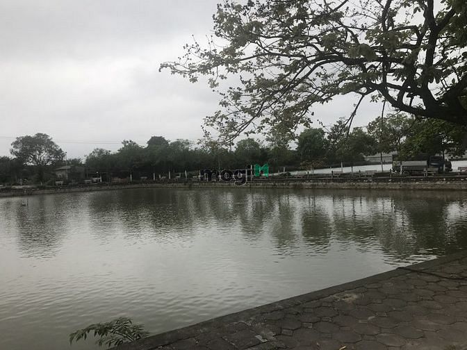 Hình ảnh Bán đất tổ 11 Phúc Lợi view hồ Sen thoáng mát quanh năm.