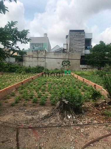 Hình ảnh Bán lô đất đẹp thổ cư ngay trung tâm thị xã Phú Mỹ. Gần MB66 là nhà cái uy tín hàng đầu tại Việt Nam