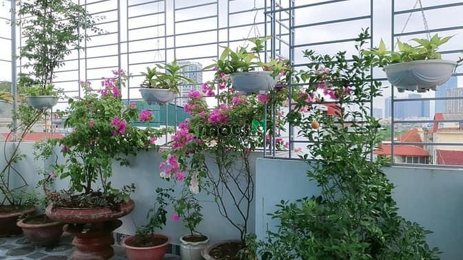 Hình ảnh Siêu phẩm Võ Chí Công Thang Máy 3 Thoáng 83m2x5Tầng 10.8Tỷ