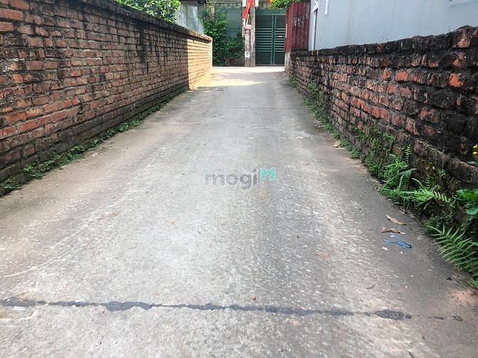 Hình ảnh Cần bán 53m đất làng Vàng, Cổ Bi, cách mặt đê chỉ 50m, giá 37tr/m2:
