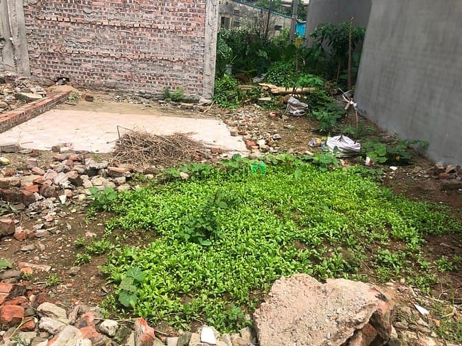 Hình ảnh Cần bán 53m đất làng Vàng, Cổ Bi, cách mặt đê chỉ 50m, giá 37tr/m2:
