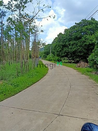 Hình ảnh Cần ra Gấp lô đất sau mùa ero 1,4 sào chỉ 380TR