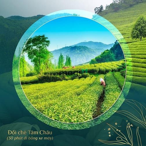 Hình ảnh Bán đất nền KDC Richard Lộc Phát kế. bên ĐƯờng bay Bảo Lộc