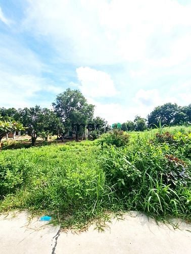 Hình ảnh 4600m2 Đường Mặt Tiền ĐẤT THỔ CƯ, 2.68 tỷ, Sơn Mỹ, Hàm Tân, Bình Thuận