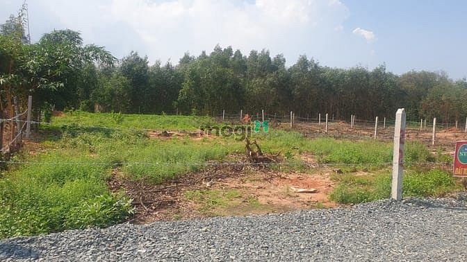 Hình ảnh CẦN BÁN 1662 M2 ĐẤT CỰC ĐẸP, VIEW BIỂN, 200m2 THỔ CƯ, Trung Tâm Sơn Mỹ