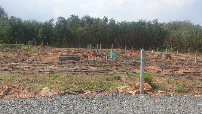 Hình ảnh CẦN BÁN 1662 M2 ĐẤT CỰC ĐẸP, VIEW BIỂN, 200m2 THỔ CƯ, Trung Tâm Sơn Mỹ