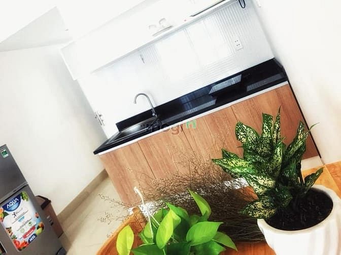 Hình ảnh CHO THUÊ CHDV Lê Thị Riêng- quận 1, đầy đủ nội thất chỉ từ 5 triệu