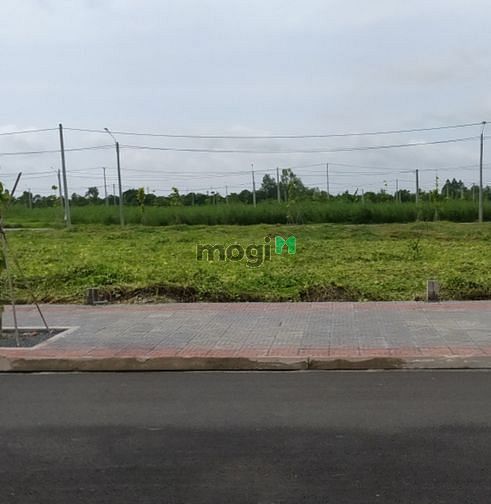 Hình ảnh Bán nhanh nền giá rẻ trong mùa dịch