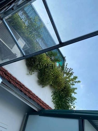 Hình ảnh Bán nhà Linh Quang, 56m2, 6 tầng, 9 phòng, 6.5 tỷ