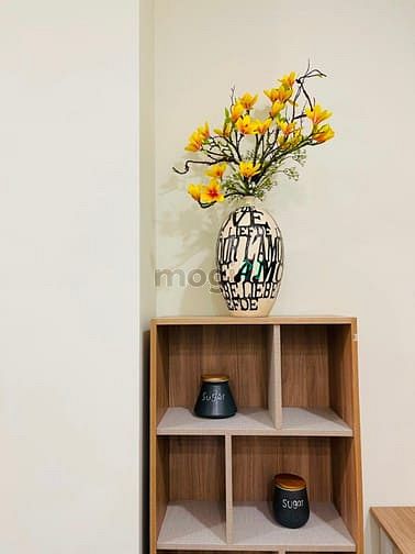 Hình ảnh 🌈🌈 Hệ Thống Căn Hộ Mới Xây Thiết Kế Thông Minh - Nội Thất Siêu Tốt