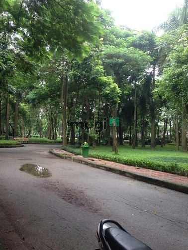Hình ảnh Bán gấp !! Nguyễn Văn Cừ, 37m, 2 tỷ !!