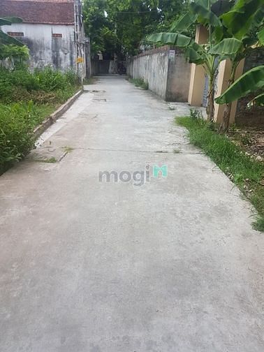 Hình ảnh Cần bán cực gấp!!! 93m2 đất thổ cư: Lạc hồng, Văn Lâm, Hưng Yên, Ô tô