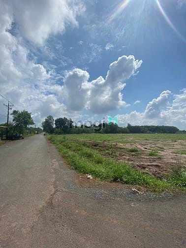Hình ảnh Cần bán nhanh đất Tân Quan 275m2 thổ cư 100m2 sổ hồng riêng