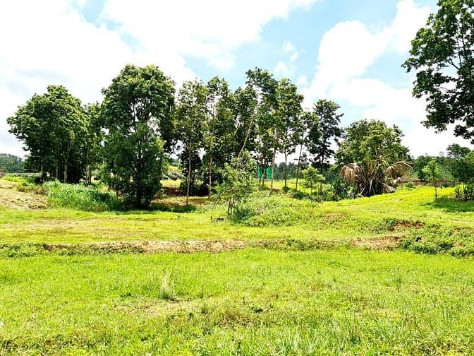 Hình ảnh BÁN ĐẤT 3 MẶT TIỀN 22000m2, 140 tr/1000m2, Hàm Tân, Bình Thuận