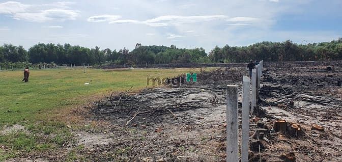Hình ảnh Bán 2 sào đất Rẻ nhất Tân Phước, Thị xã LaGi sát KDC gần Biển