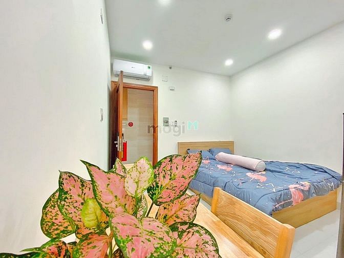 Hình ảnh Studio Mới Xây Cho Thuê Full Nội Thất- cửa sổ thoáng Gần CV Lê Văn Tám