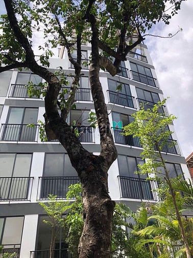 Hình ảnh Cần bán nhà số 80 Võ Văn Tần, Phường 5, Quận 3, Tp HCM.