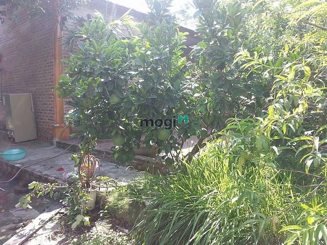 Hình ảnh Bán Đất Minh Trí Sóc Sơn. Tôi chính chủ bán 4.250m2